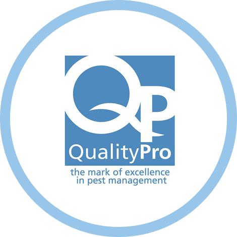 QualityPro QualityPro