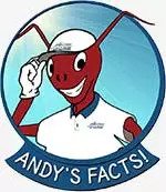 Andy's Facts