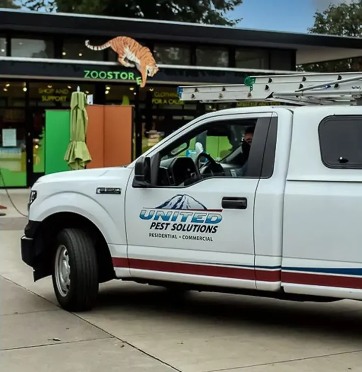 United Pest Solutions pest control service truck