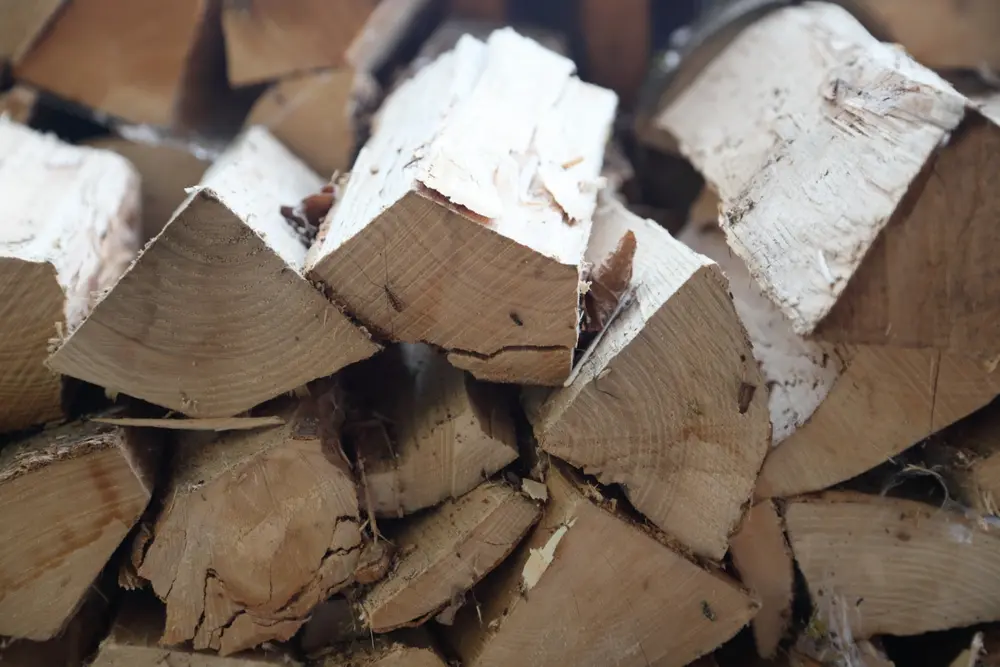 Stacked firewood logs with visible bark and cut ends, showing how stored firewood can attract insects.