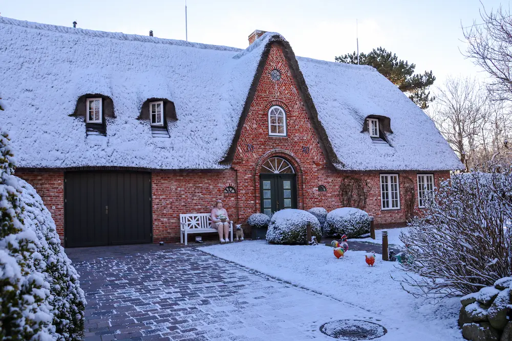 Snow-covered brick house in winter with sealed doors, windows, and landscaping to help pest-proof the home.