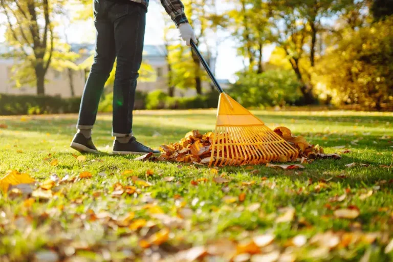 Person raking fallen leaves in a yard during fall, a key pest-proofing step to reduce hiding spots for insects and rodents.