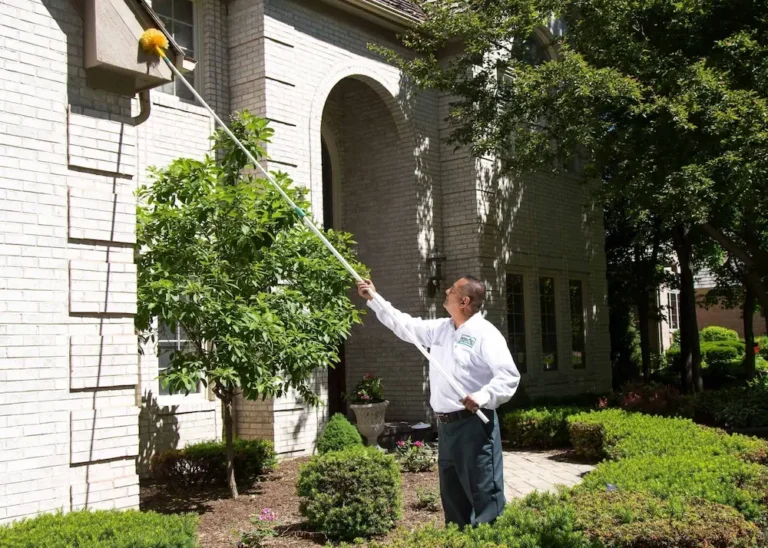 Pest control professional inspecting a home exterior with care and attention