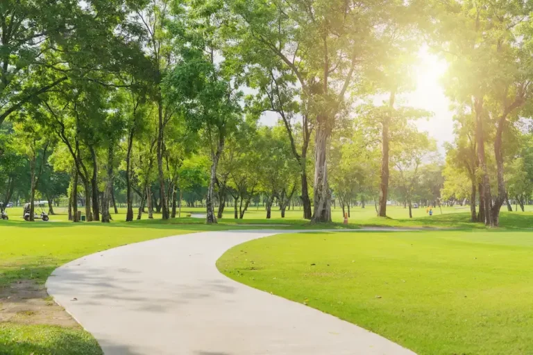 Clean green park with walking path and sunlight, symbolizing spring cleaning tips.