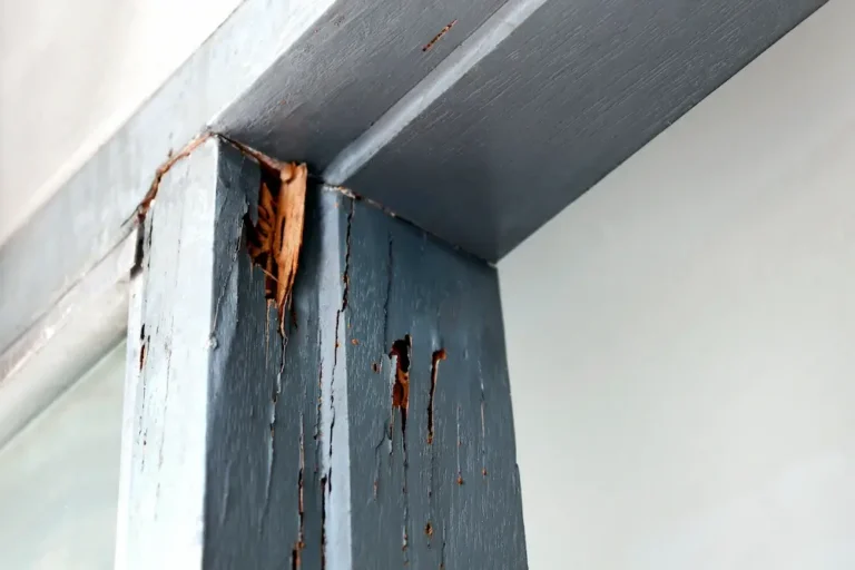 Termite damage on a wooden door frame inside a home.